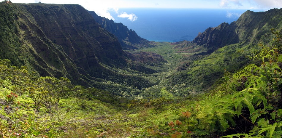Obrázok z galérie: Kauai: Kalalau Valley
